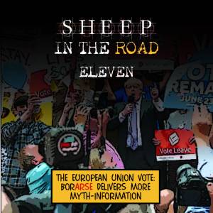 Sheep in the Road 11 cover